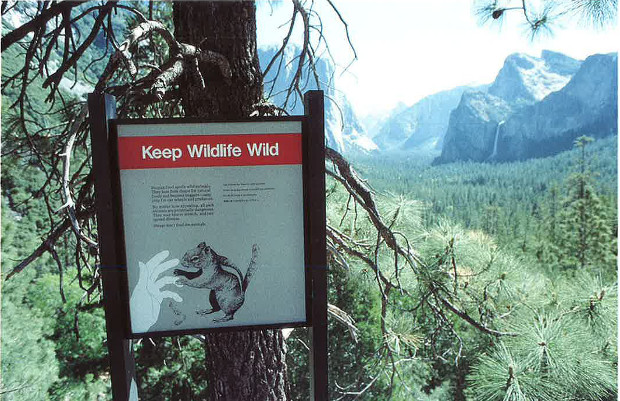 Aten - Slogan sous forme d'onomatopée : waïd-waïd ! et graphisme très parlant pour un panneau sur la protection de la vie sauvage. (Yosemite National Park, USA)